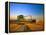 Farmer Unloading Wheat from Combine Near Colfax, Washington, USA-Chuck Haney-Framed Premier Image Canvas