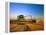 Farmer Unloading Wheat from Combine Near Colfax, Washington, USA-Chuck Haney-Framed Premier Image Canvas