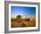 Farmer Unloading Wheat from Combine Near Colfax, Washington, USA-Chuck Haney-Framed Photographic Print