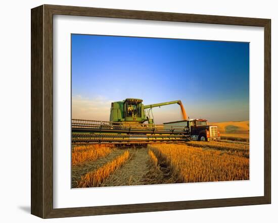 Farmer Unloading Wheat from Combine Near Colfax, Washington, USA-Chuck Haney-Framed Photographic Print