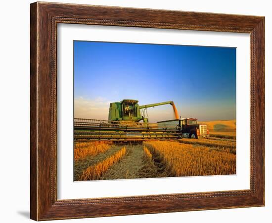 Farmer Unloading Wheat from Combine Near Colfax, Washington, USA-Chuck Haney-Framed Photographic Print