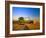 Farmer Unloading Wheat from Combine Near Colfax, Washington, USA-Chuck Haney-Framed Photographic Print