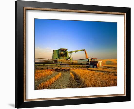 Farmer Unloading Wheat from Combine Near Colfax, Washington, USA-Chuck Haney-Framed Photographic Print