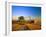 Farmer Unloading Wheat from Combine Near Colfax, Washington, USA-Chuck Haney-Framed Photographic Print