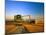 Farmer Unloading Wheat from Combine Near Colfax, Washington, USA-Chuck Haney-Mounted Photographic Print