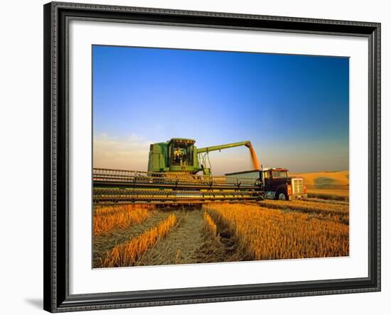 Farmer Unloading Wheat from Combine Near Colfax, Washington, USA-Chuck Haney-Framed Photographic Print