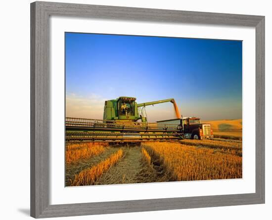 Farmer Unloading Wheat from Combine Near Colfax, Washington, USA-Chuck Haney-Framed Photographic Print