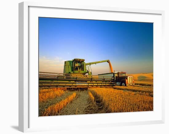 Farmer Unloading Wheat from Combine Near Colfax, Washington, USA-Chuck Haney-Framed Photographic Print