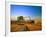 Farmer Unloading Wheat from Combine Near Colfax, Washington, USA-Chuck Haney-Framed Photographic Print