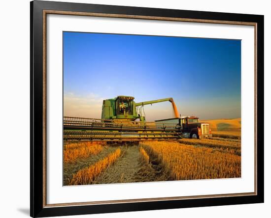 Farmer Unloading Wheat from Combine Near Colfax, Washington, USA-Chuck Haney-Framed Photographic Print