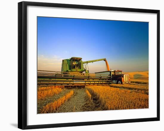 Farmer Unloading Wheat from Combine Near Colfax, Washington, USA-Chuck Haney-Framed Photographic Print