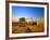 Farmer Unloading Wheat from Combine Near Colfax, Washington, USA-Chuck Haney-Framed Photographic Print