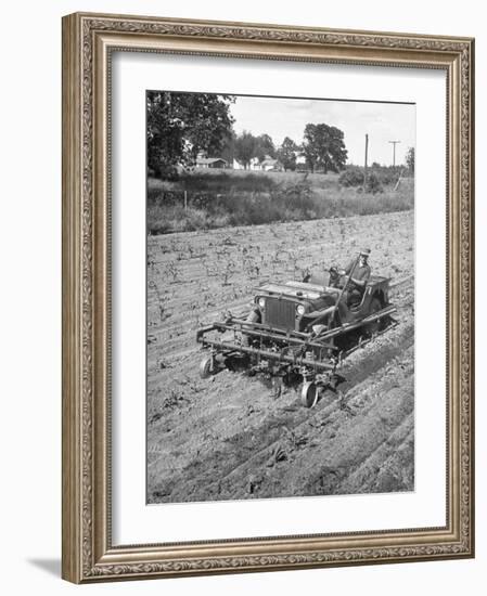 Farmer Using Jeep as a Cultivator in Demonstration of Postwar Uses for Military Vehicles-null-Framed Photographic Print