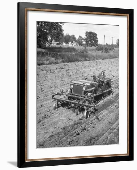 Farmer Using Jeep as a Cultivator in Demonstration of Postwar Uses for Military Vehicles-null-Framed Photographic Print