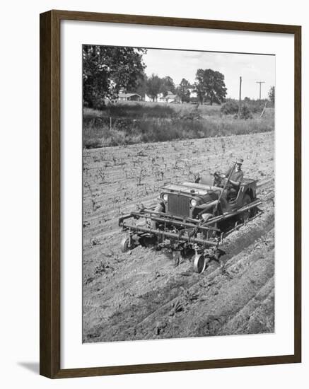 Farmer Using Jeep as a Cultivator in Demonstration of Postwar Uses for Military Vehicles-null-Framed Photographic Print