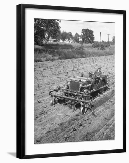 Farmer Using Jeep as a Cultivator in Demonstration of Postwar Uses for Military Vehicles-null-Framed Photographic Print