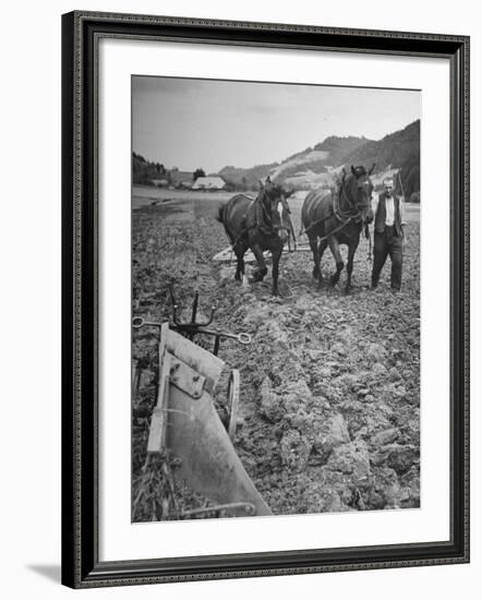 Farmer Using Two Horses and a Harrow to Plow His Field-null-Framed Premium Photographic Print