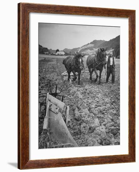 Farmer Using Two Horses and a Harrow to Plow His Field-null-Framed Premium Photographic Print