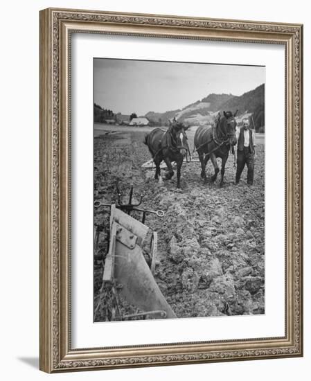 Farmer Using Two Horses and a Harrow to Plow His Field-null-Framed Photographic Print