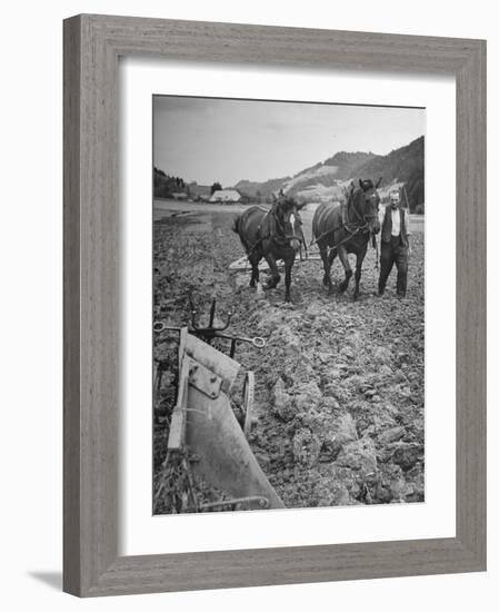 Farmer Using Two Horses and a Harrow to Plow His Field-null-Framed Photographic Print