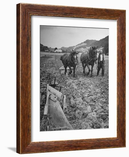 Farmer Using Two Horses and a Harrow to Plow His Field-null-Framed Photographic Print