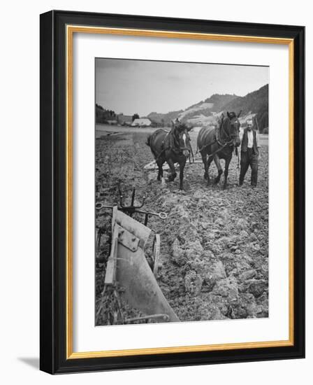 Farmer Using Two Horses and a Harrow to Plow His Field-null-Framed Photographic Print