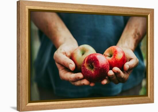 Farmer with Apples-mythja-Framed Premier Image Canvas