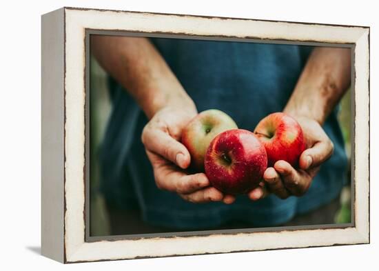 Farmer with Apples-mythja-Framed Premier Image Canvas