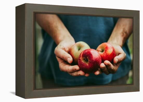 Farmer with Apples-mythja-Framed Premier Image Canvas