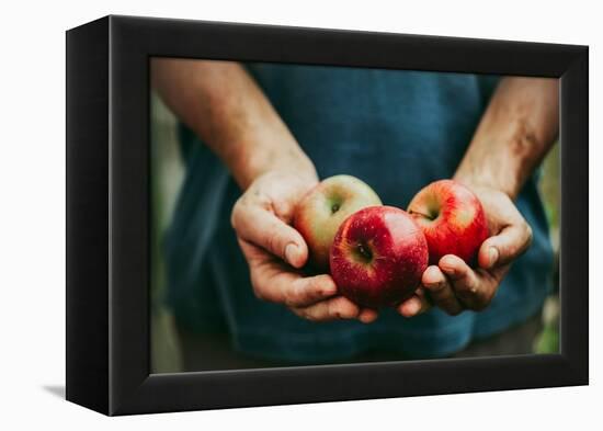 Farmer with Apples-mythja-Framed Premier Image Canvas