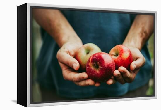 Farmer with Apples-mythja-Framed Premier Image Canvas