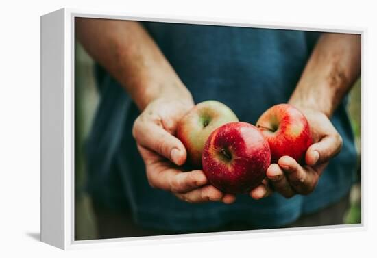 Farmer with Apples-mythja-Framed Premier Image Canvas