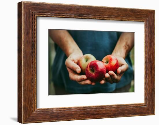 Farmer with Apples-mythja-Framed Photographic Print