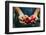 Farmer with Apples-mythja-Framed Photographic Print