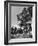 Farmers Family Saluting the Us Flag, During the Drought in Central and South Missouri-John Dominis-Framed Photographic Print