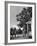 Farmers Family Saluting the Us Flag, During the Drought in Central and South Missouri-John Dominis-Framed Photographic Print