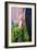 Farmers Hands Holding Bright Lights Chard-Justin Bailie-Framed Photographic Print