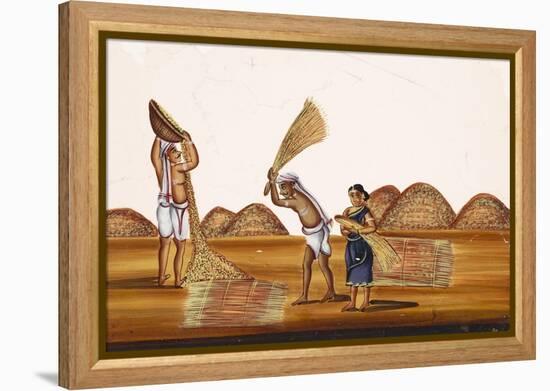 Farmers in a Field at a Time of Harvesting, from Thanjavur, India-null-Framed Premier Image Canvas