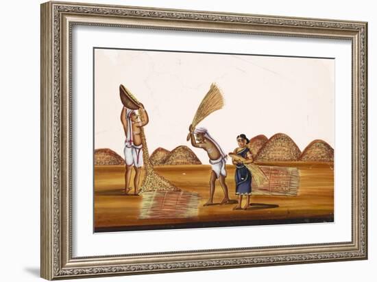 Farmers in a Field at a Time of Harvesting, from Thanjavur, India--Framed Giclee Print