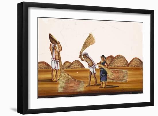 Farmers in a Field at a Time of Harvesting, from Thanjavur, India-null-Framed Giclee Print