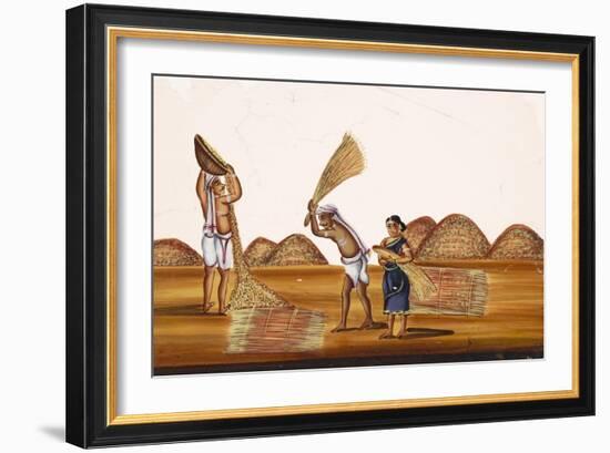 Farmers in a Field at a Time of Harvesting, from Thanjavur, India-null-Framed Giclee Print