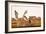 Farmers in a Field at a Time of Harvesting, from Thanjavur, India-null-Framed Giclee Print