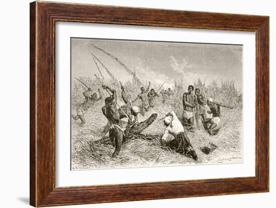 Farmers Kill a Crocodile on the Banks of the Nile River in the Sudan-null-Framed Giclee Print