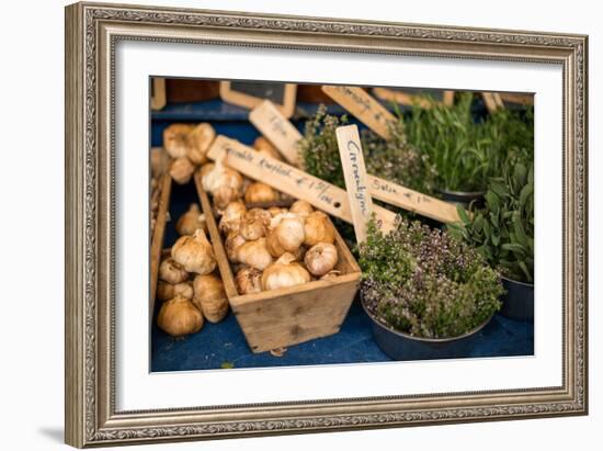 Farmers Market II-Erin Berzel-Framed Photographic Print