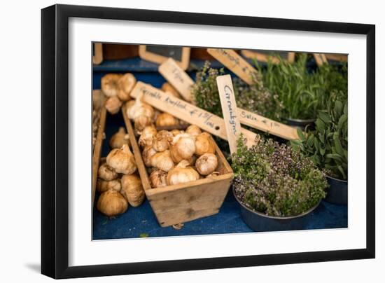 Farmers Market II-Erin Berzel-Framed Photographic Print