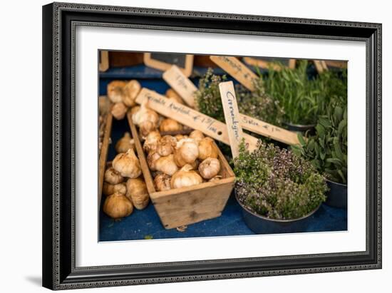 Farmers Market II-Erin Berzel-Framed Photographic Print