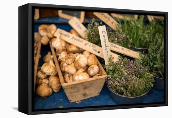 Farmers Market II-Erin Berzel-Framed Premier Image Canvas