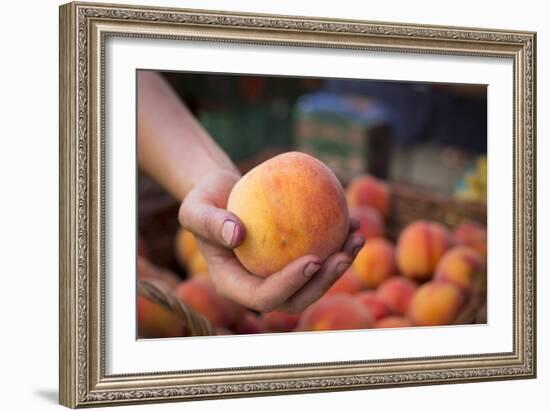 Farmers Market; Portland, Oregon-Justin Bailie-Framed Photographic Print