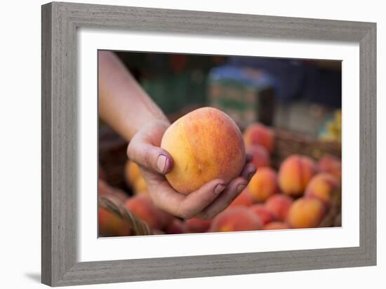 Farmers Market; Portland, Oregon-Justin Bailie-Framed Photographic Print