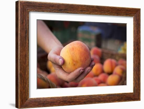 Farmers Market; Portland, Oregon-Justin Bailie-Framed Photographic Print